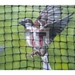bird control nets