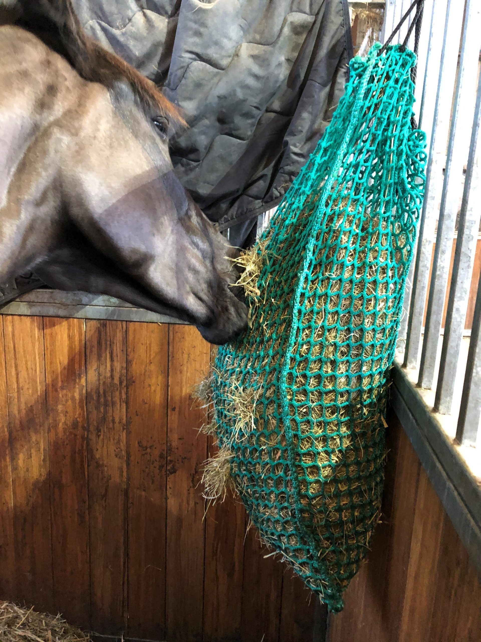 slow feeder hay net