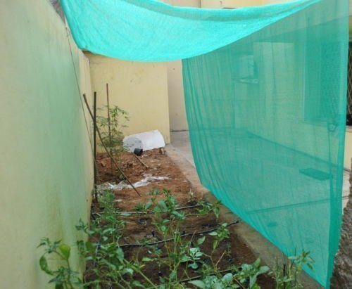 greenhouse shade net